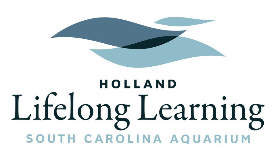South carolina adult education consider, that Authoritative South carolina adult education can not